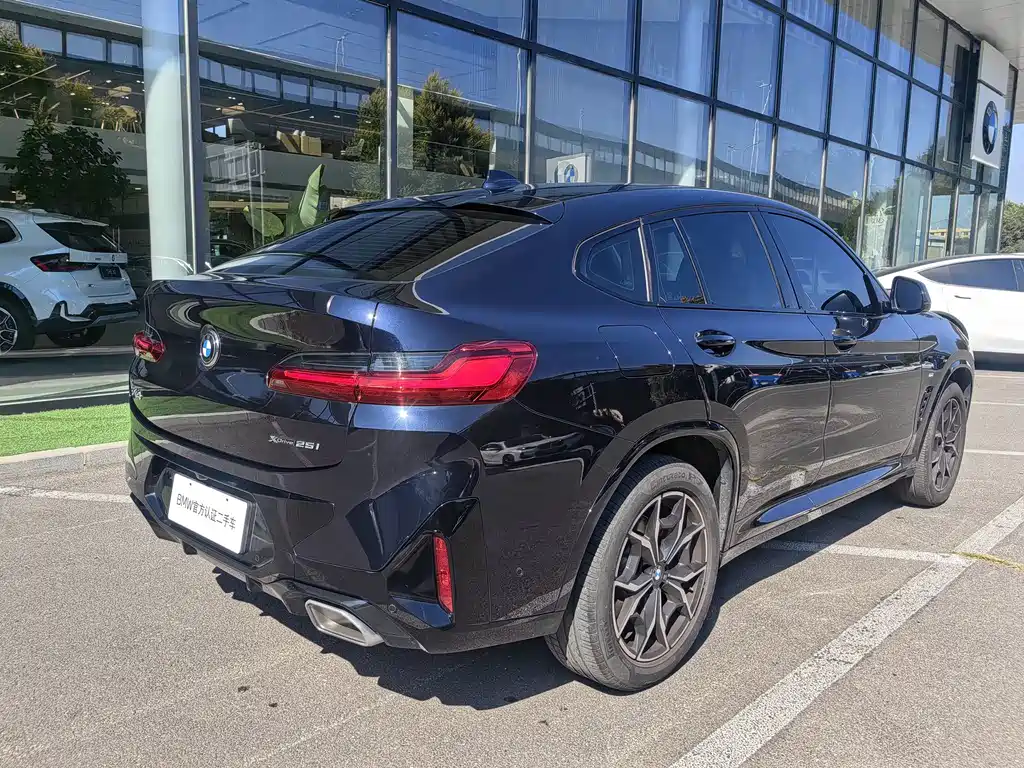 BMW X4 — миниатюра 5