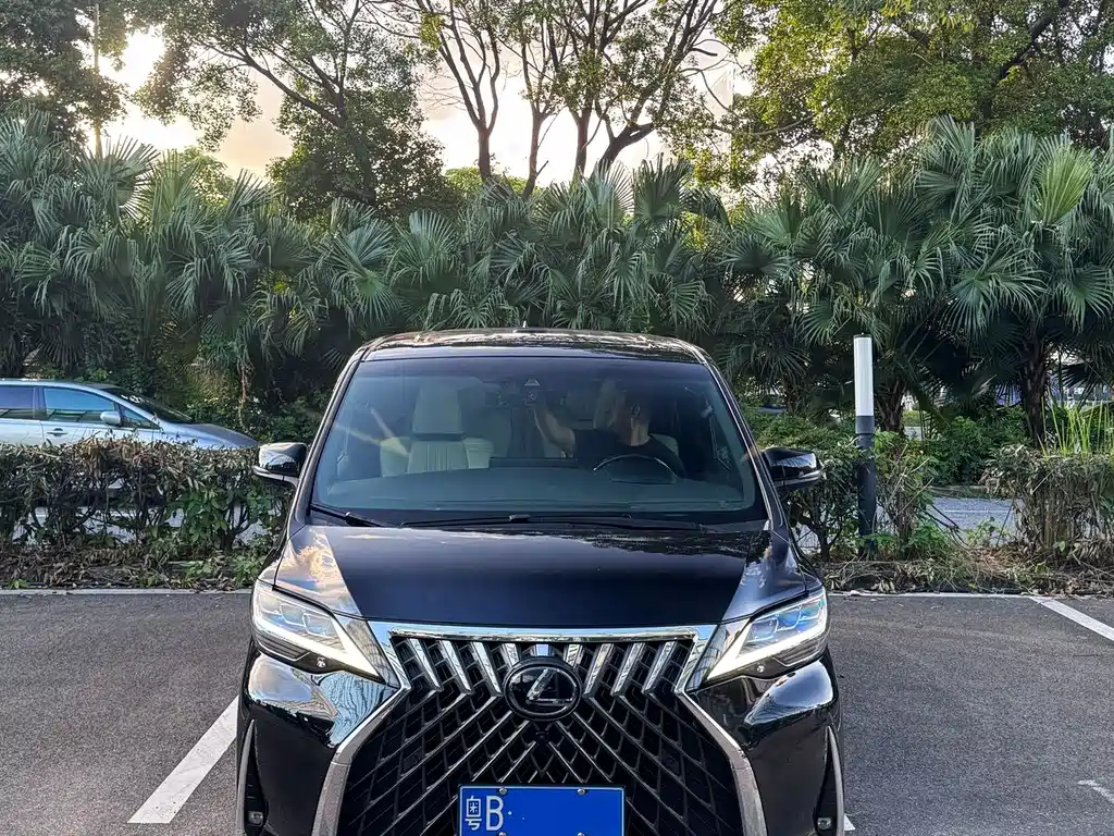 Lexus LM 2020 300h мест
