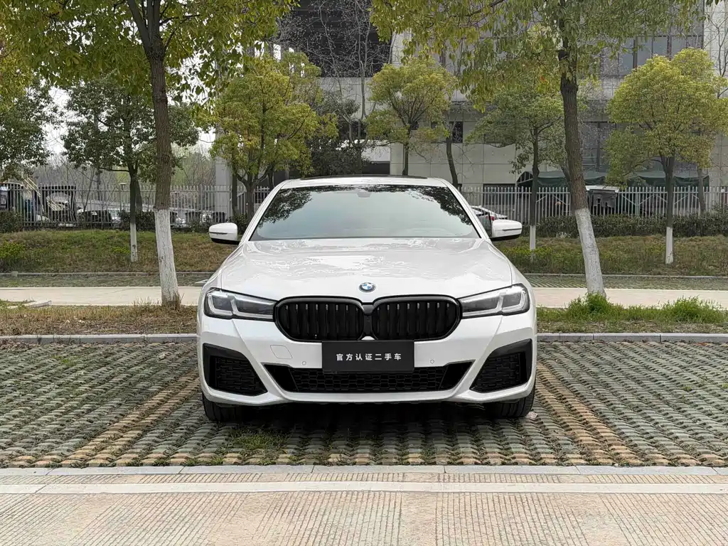 BMW 5 Series 5 2021 530Li Lead M Sport
