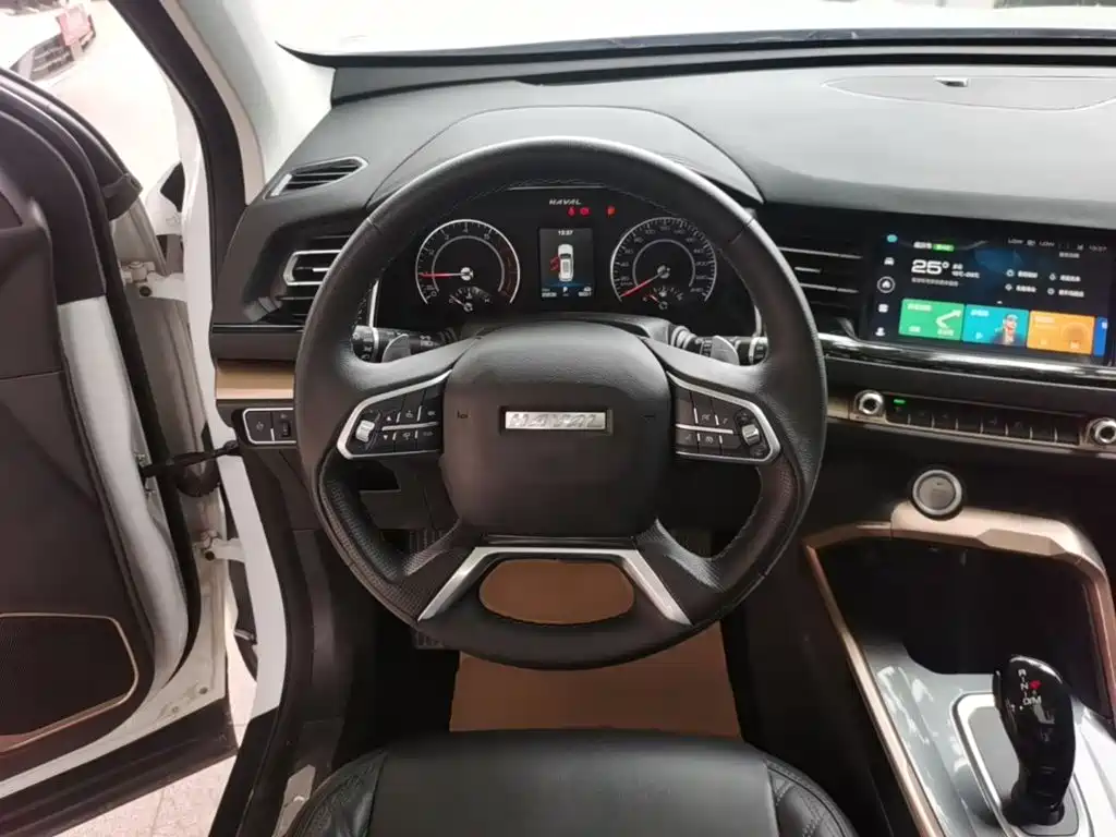 Haval H6 — миниатюра 11