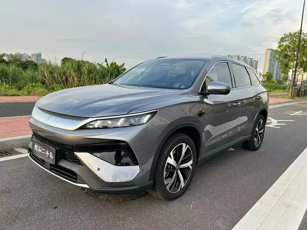 BYD Pro New Energy