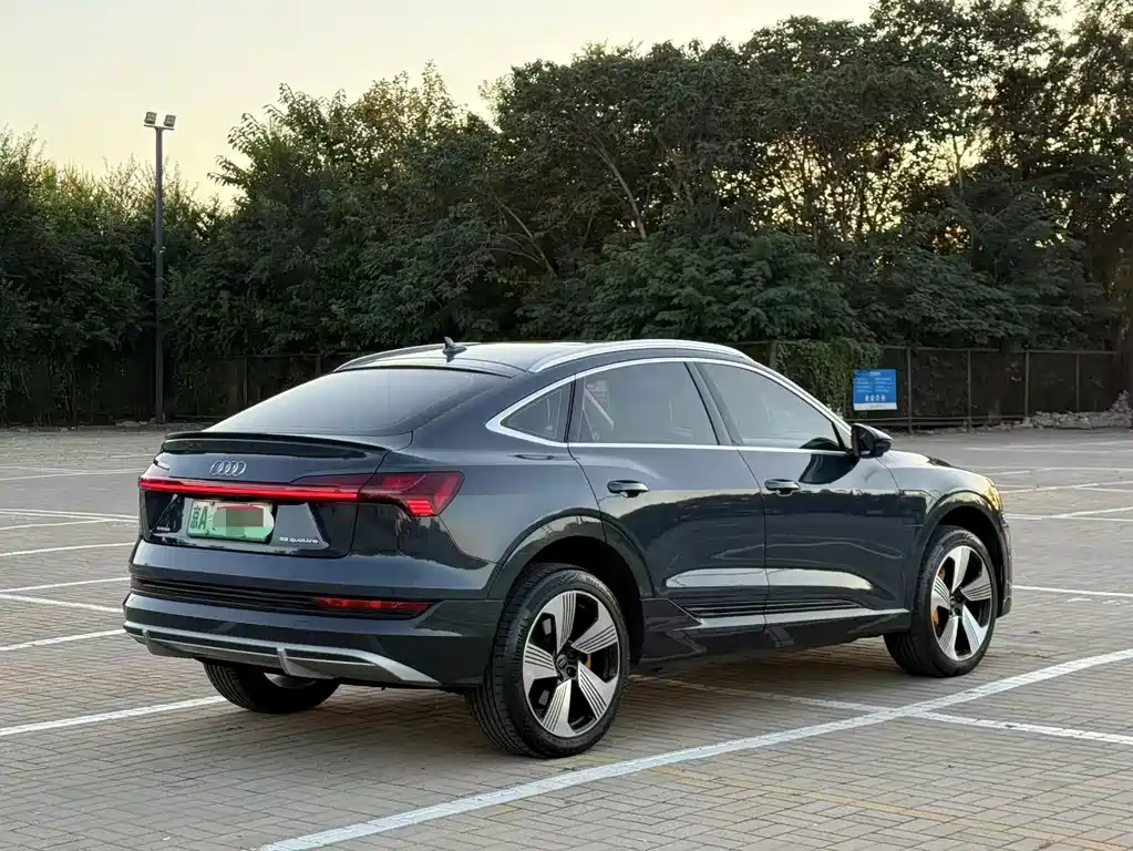 Audi e-tron (Import) — миниатюра 6
