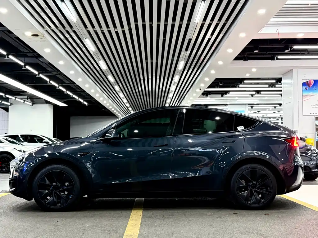 Tesla Model Y — миниатюра 7