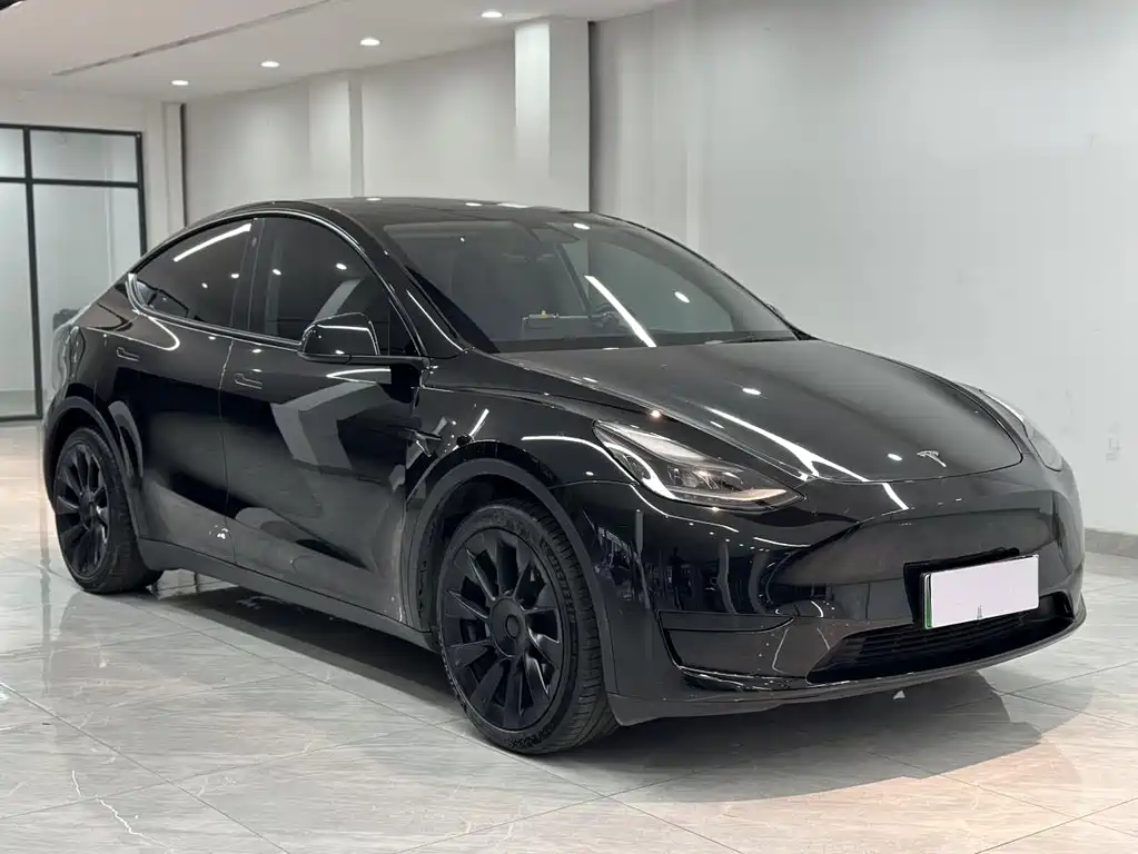 Tesla Model Y — миниатюра 3