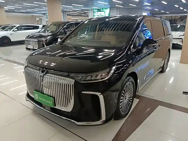 2024 Voyah Dream