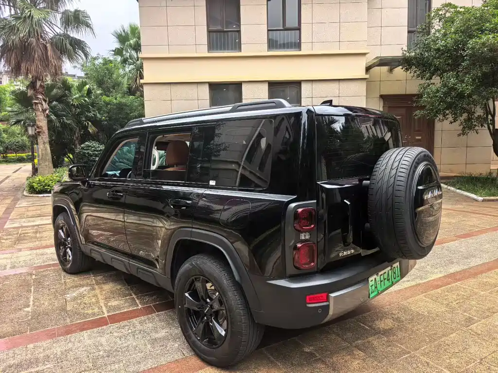 Haval Menglong New Energy — миниатюра 9