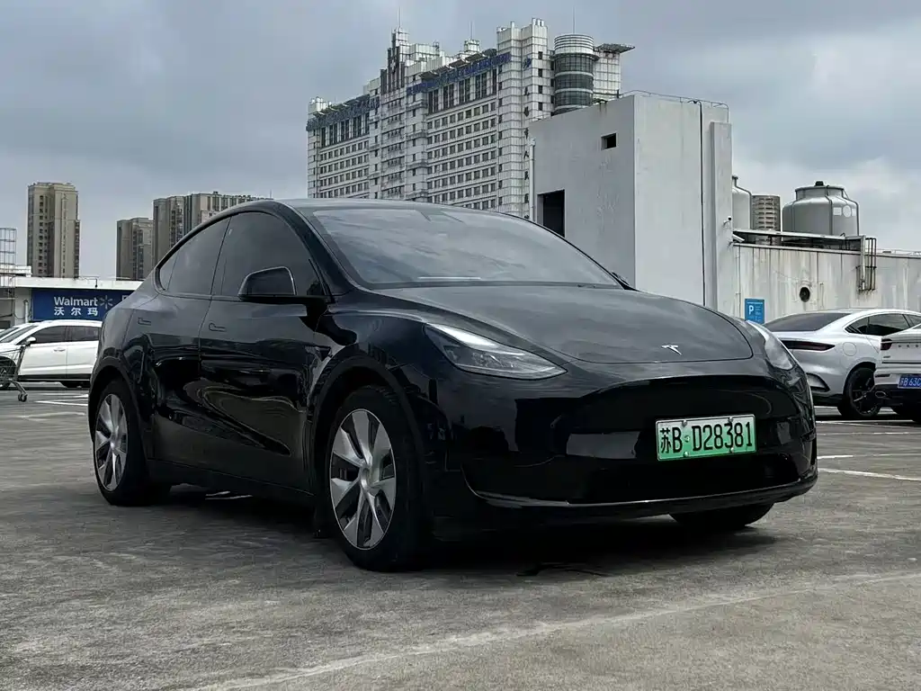 Tesla Model Y — миниатюра 3