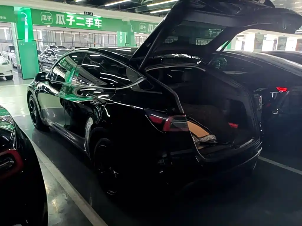 Tesla Model Y — миниатюра 5