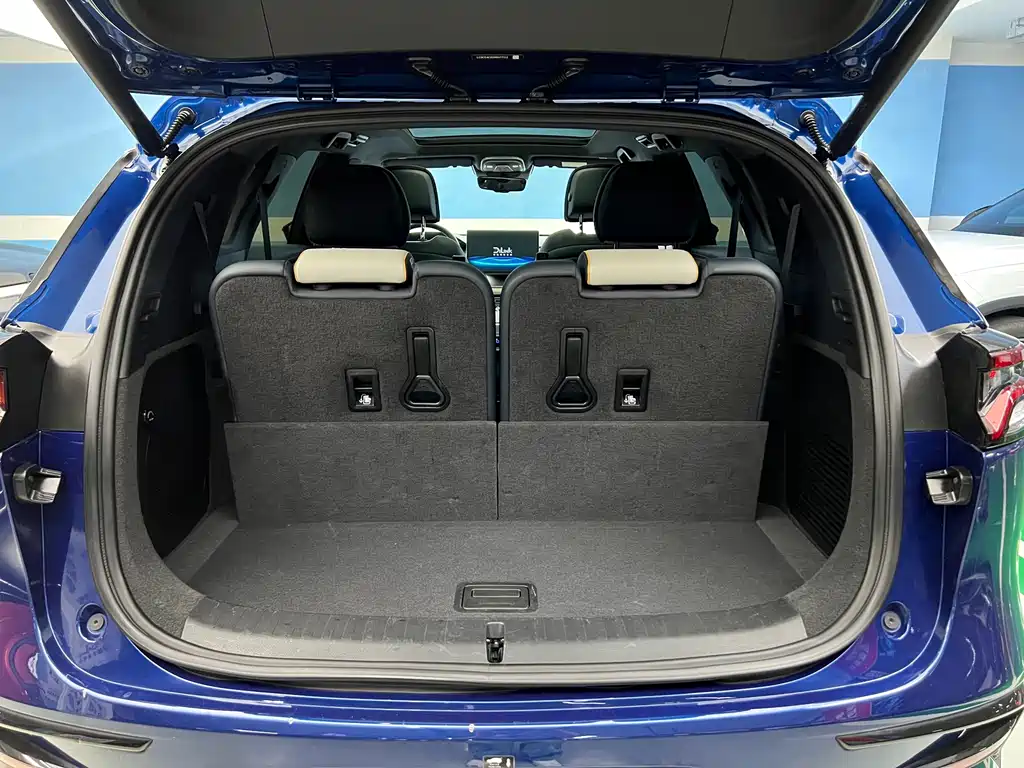 BYD Tang New Energy — миниатюра 24