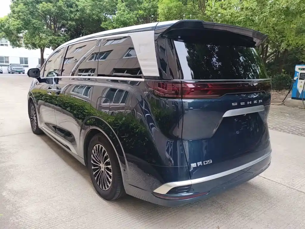 Denza Denza D9 — миниатюра 5