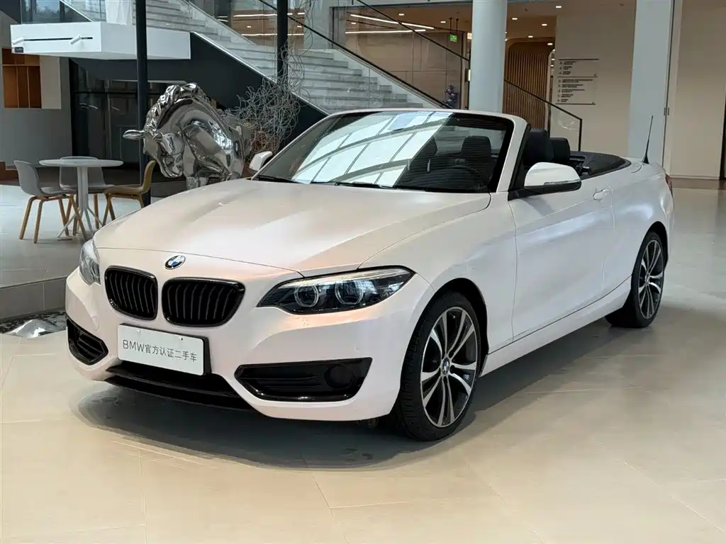 BMW 2 Series (Import)