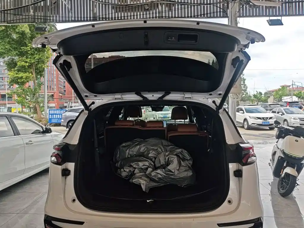 BYD Tang New Energy — миниатюра 19