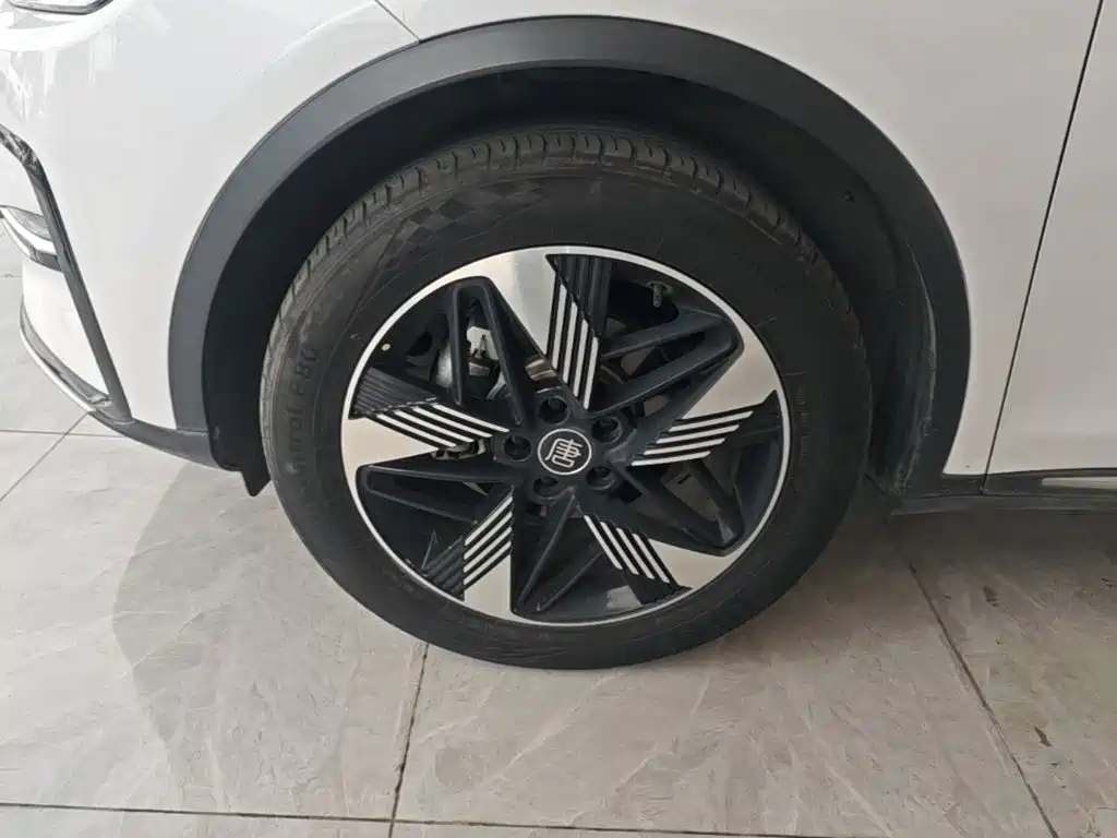 BYD Tang New Energy — миниатюра 23