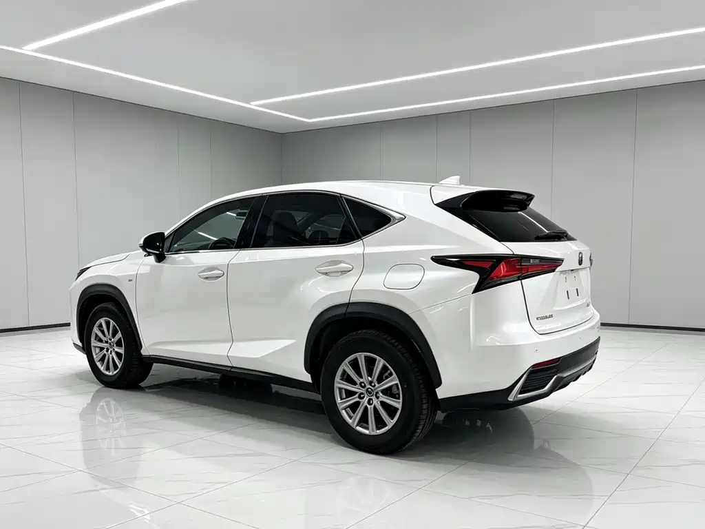 Lexus NX 2020 200 VI
