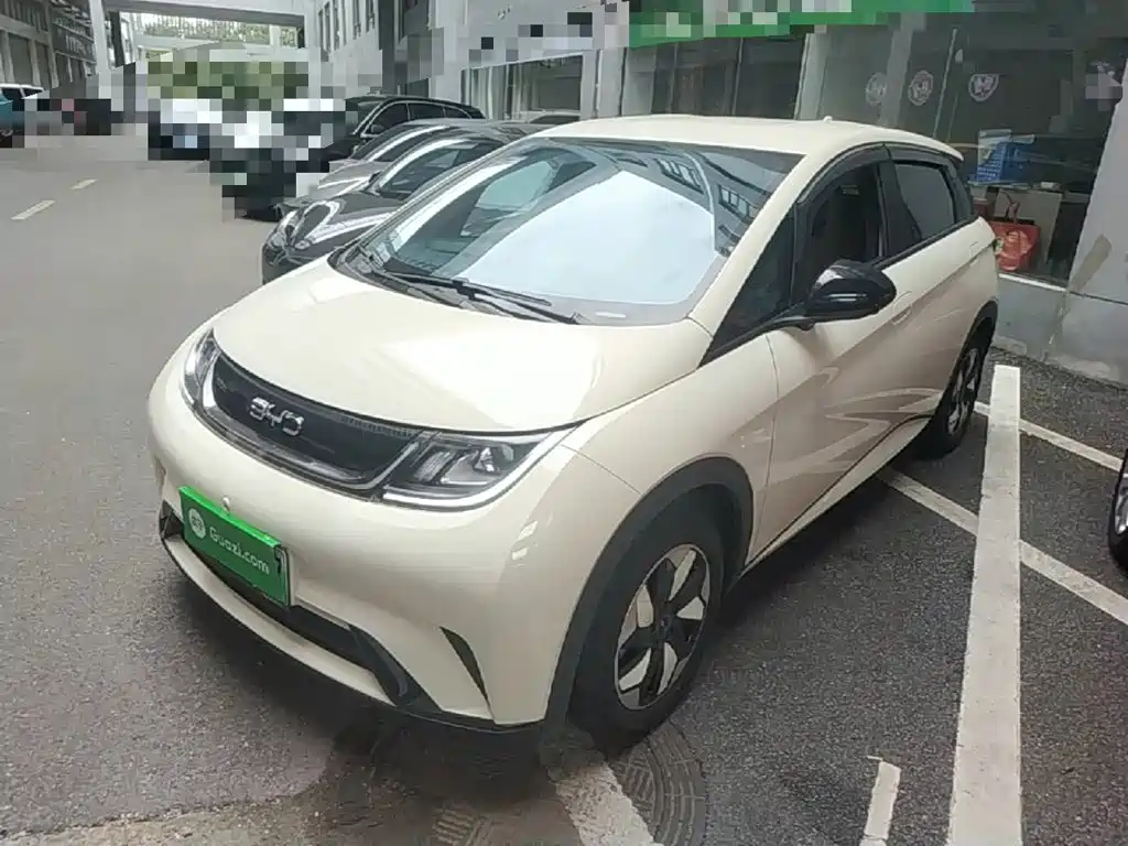 BYD Dolphin — миниатюра 2