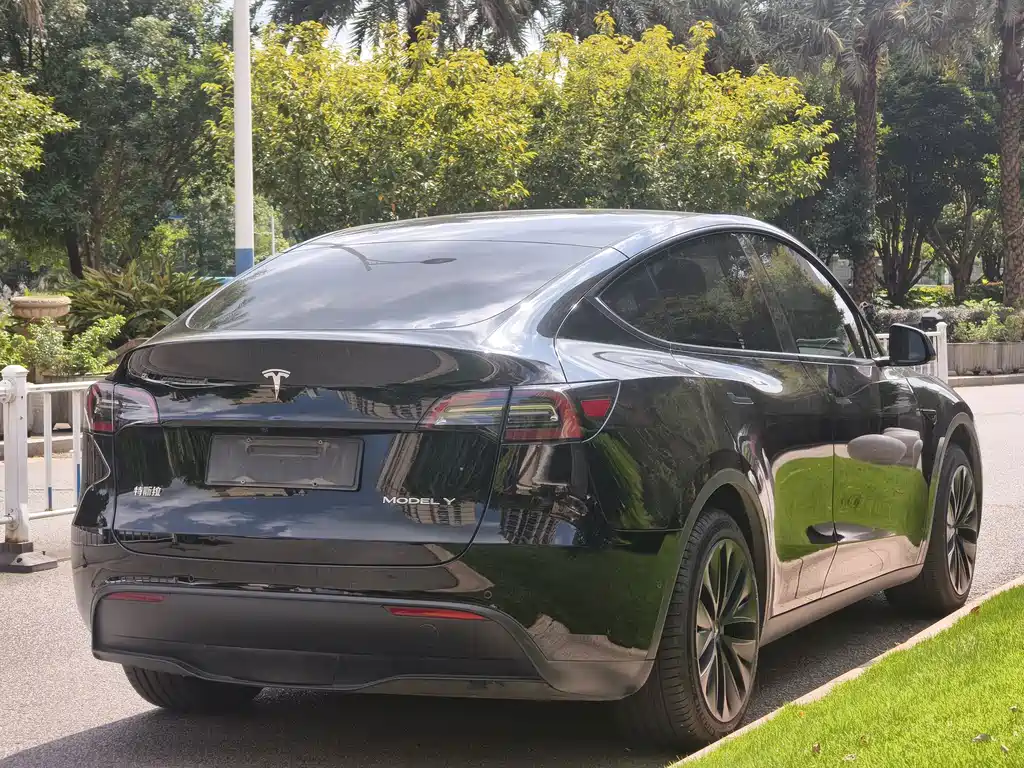 Tesla Model Y — миниатюра 7