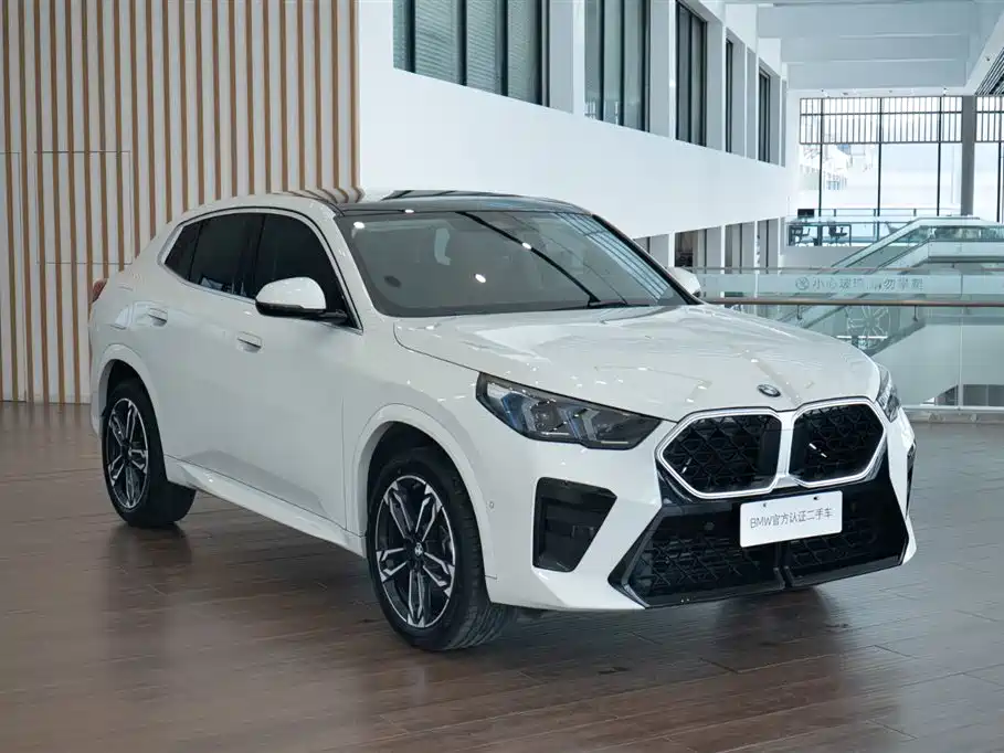BMW X2