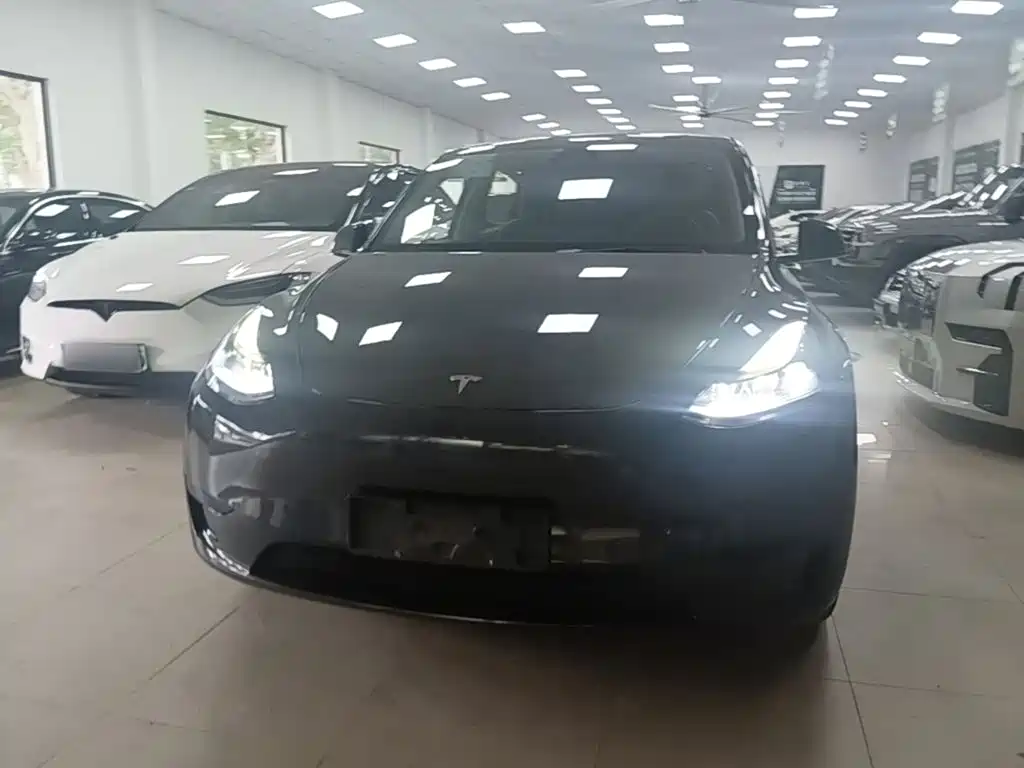 Tesla Model Y — миниатюра 3