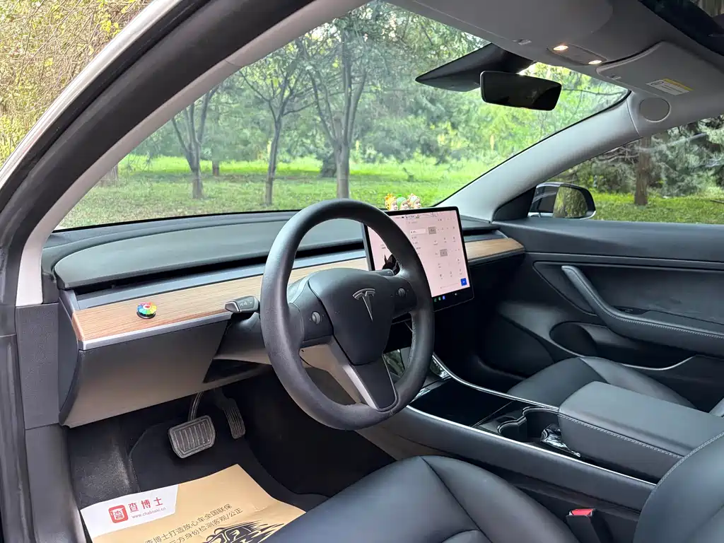 Tesla Model 3 — миниатюра 7