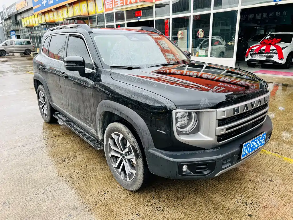 Haval 长城大狗 — миниатюра 10