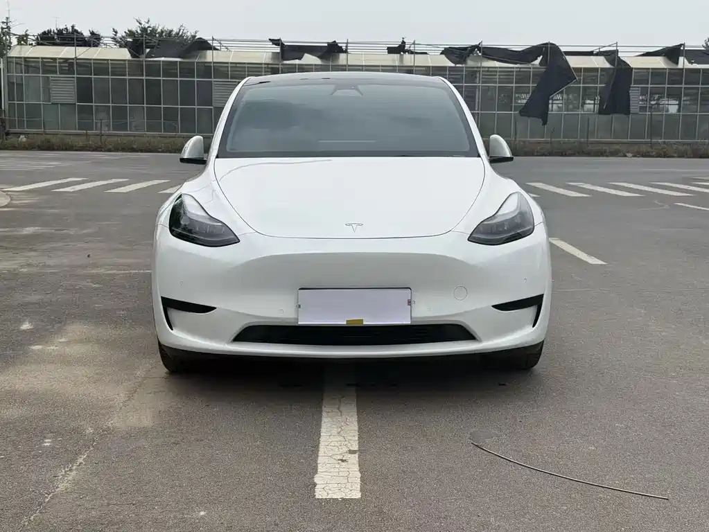 Tesla Model Y — миниатюра 2