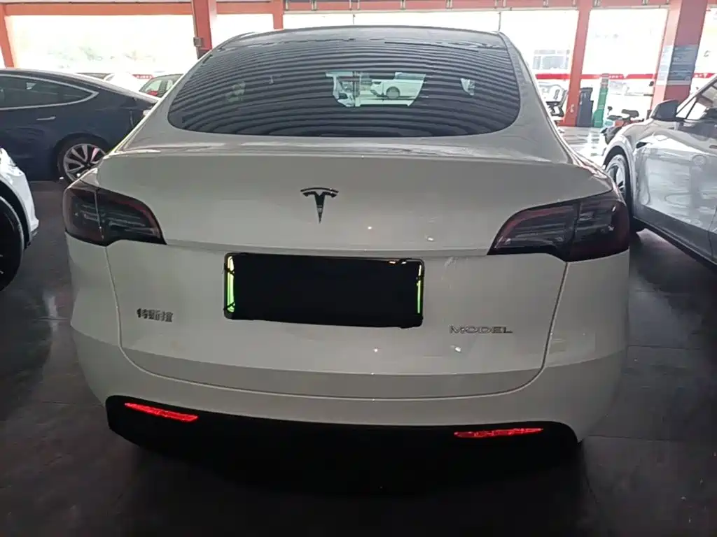 Tesla Model Y — миниатюра 6