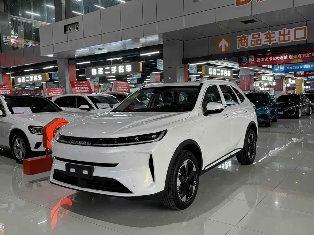 Купить Haval 哈弗H6L
