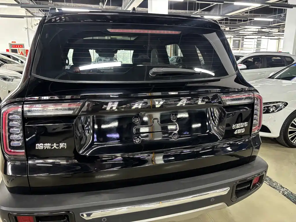 Haval Big Dog — миниатюра 12