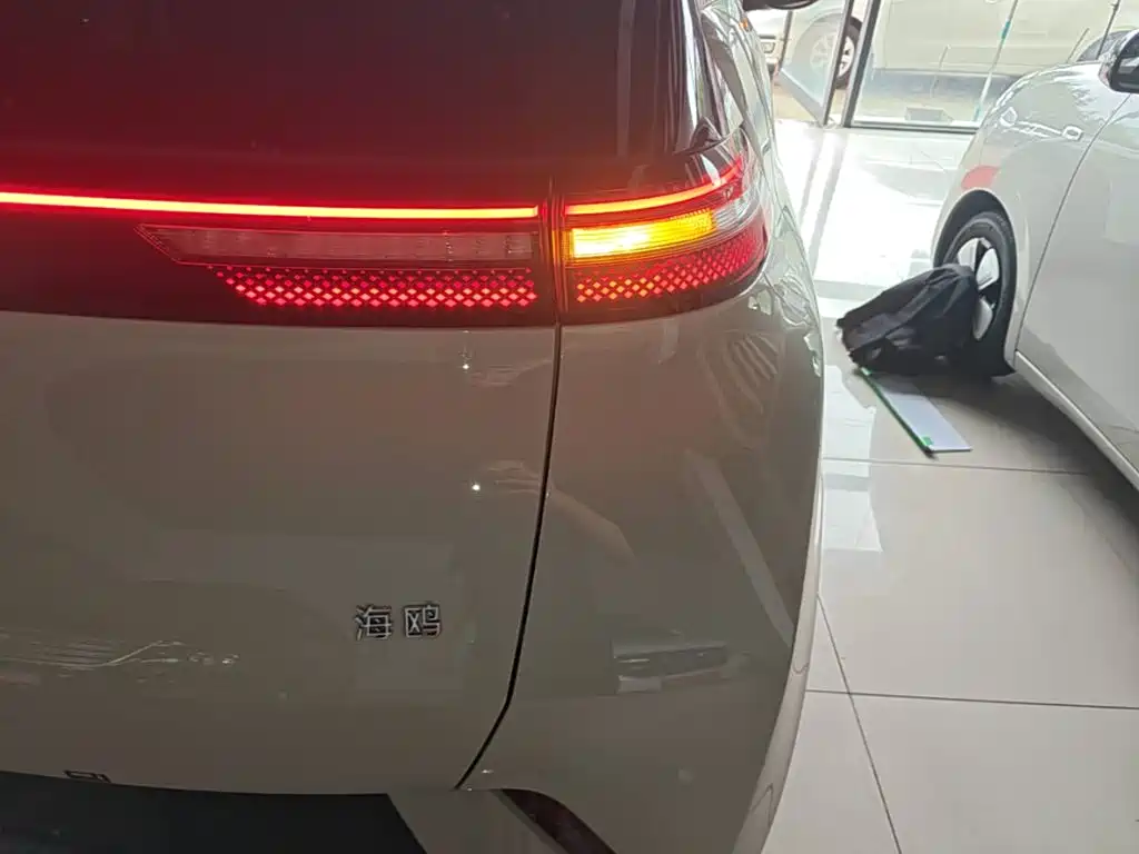 BYD Seagull 2025 305km