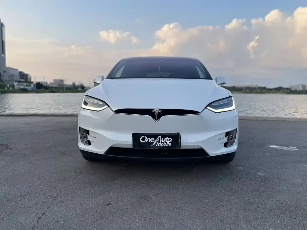 Tesla Model X — миниатюра 7