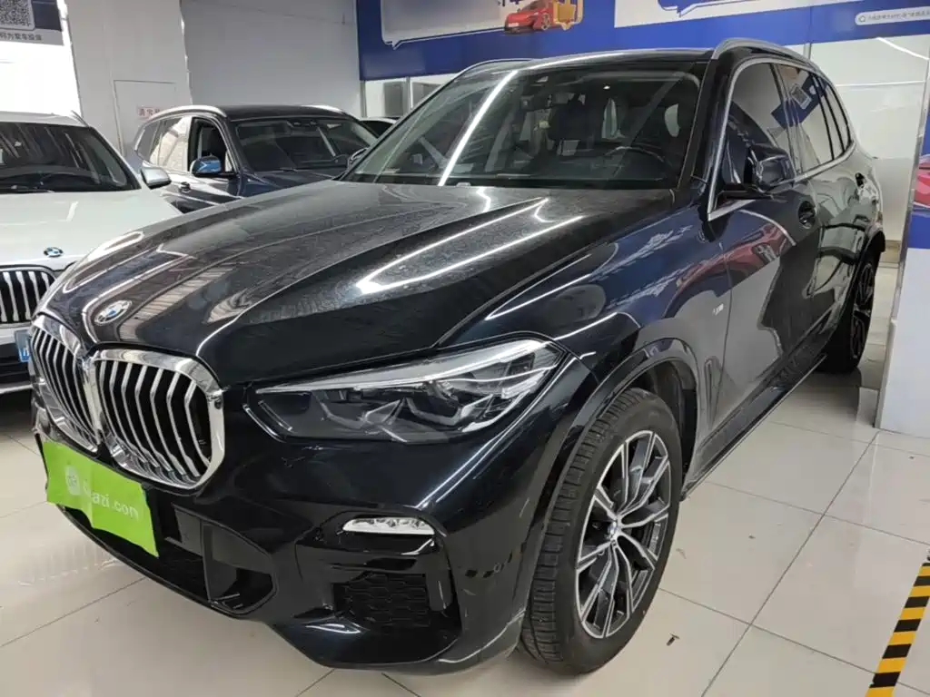 BMW X5 (Import) — миниатюра 2