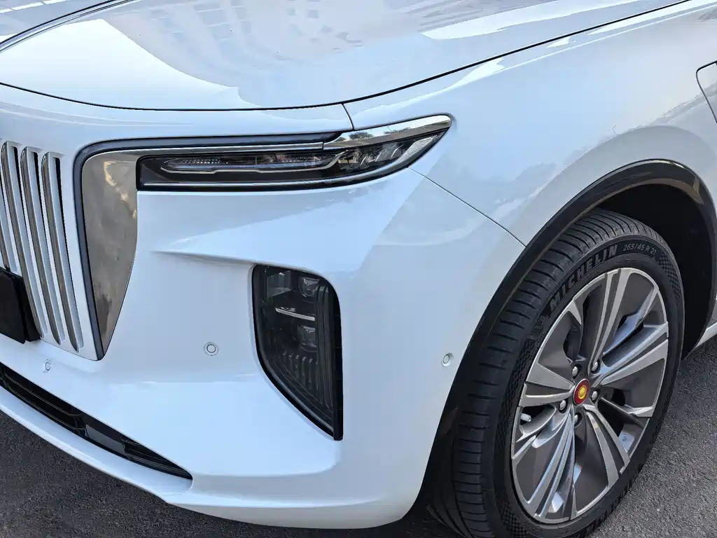 Hongqi Hongqi E-HS9 — миниатюра 4