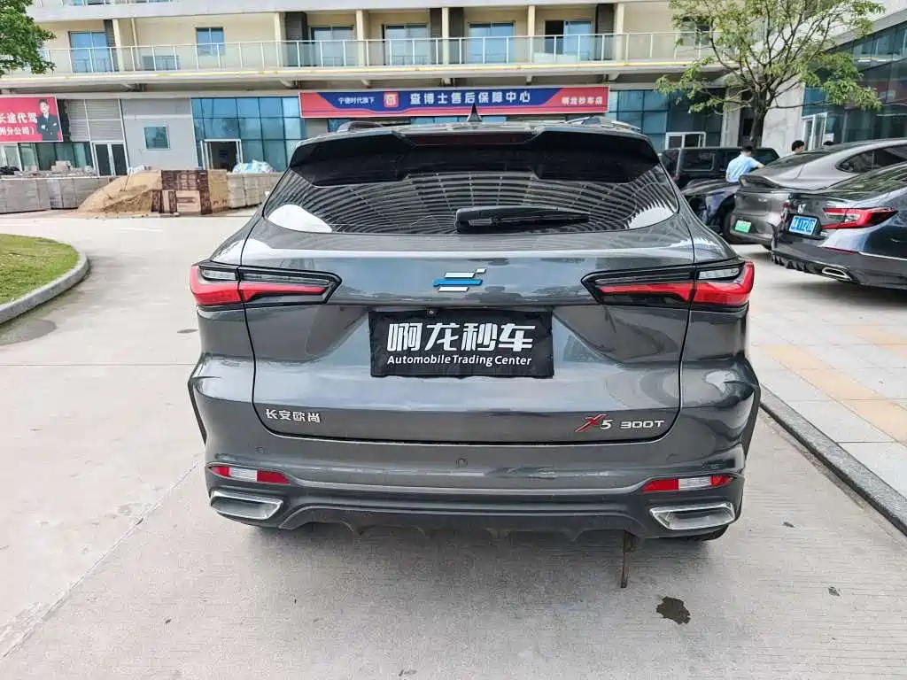 Oshan Oushang X5 — миниатюра 9