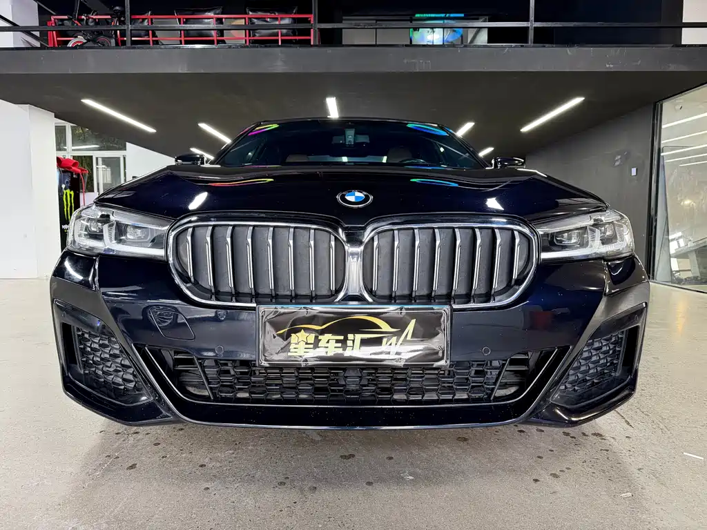 BMW 5 Series (Import) — миниатюра 2