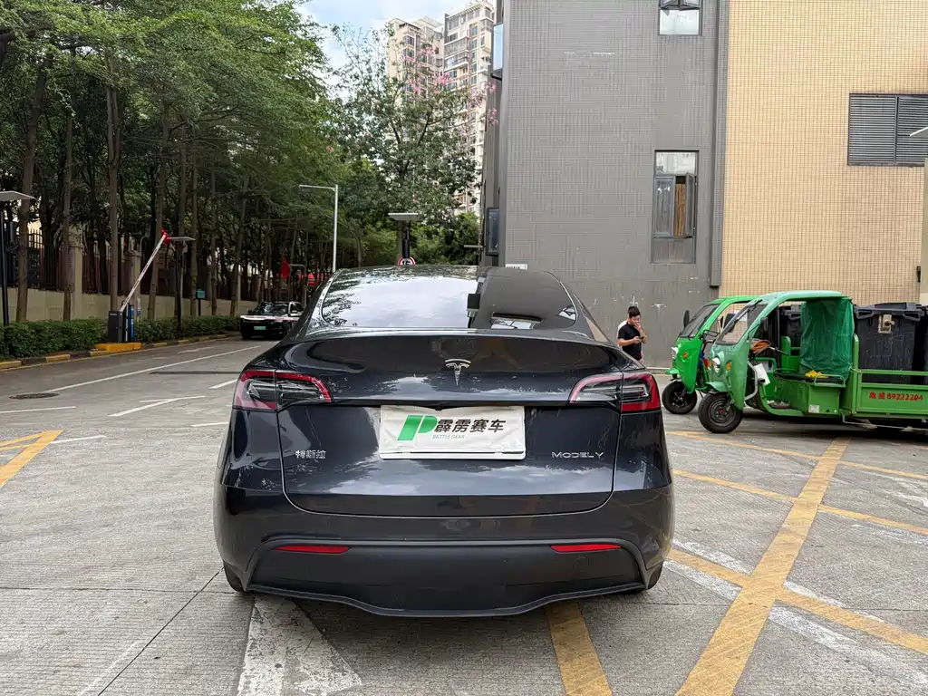 Tesla Model Y — миниатюра 6