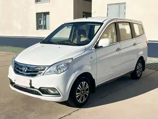 2016 BAIC Weiwang M20