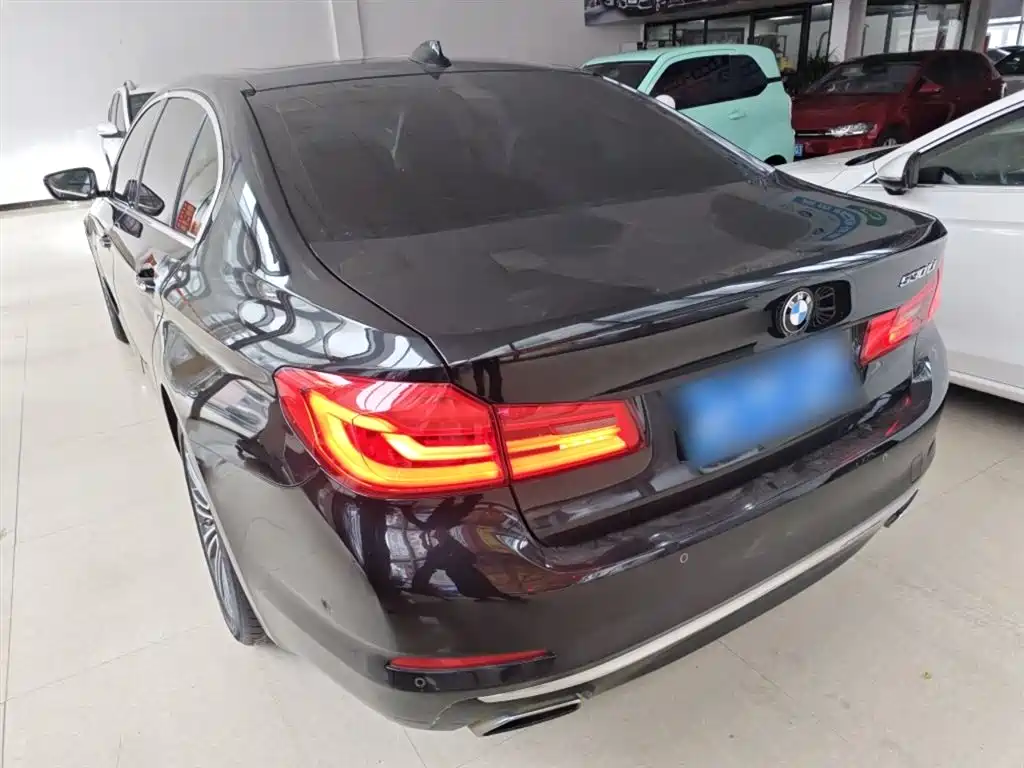 BMW 5 Series 5 2018 530Li Premium Luxury