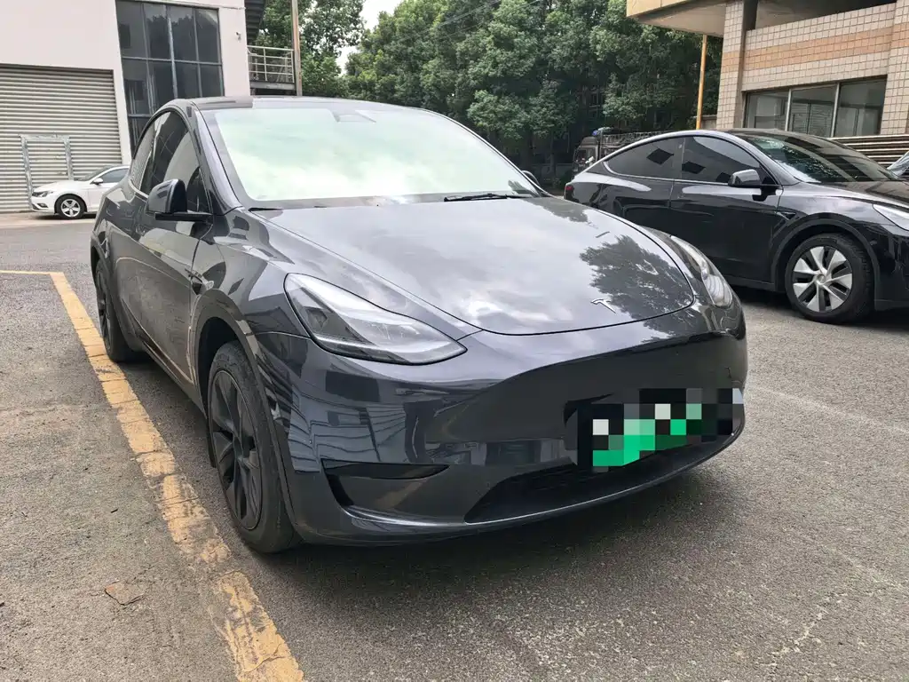 Tesla Model Y — миниатюра 3