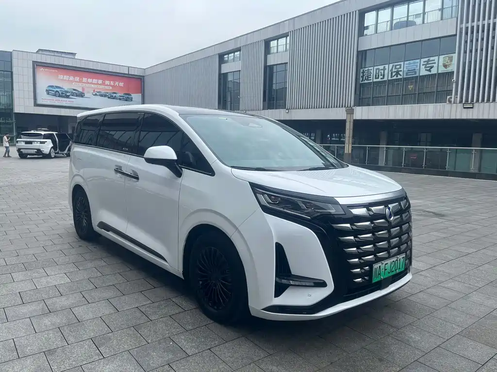 Denza Denza D9 — миниатюра 7
