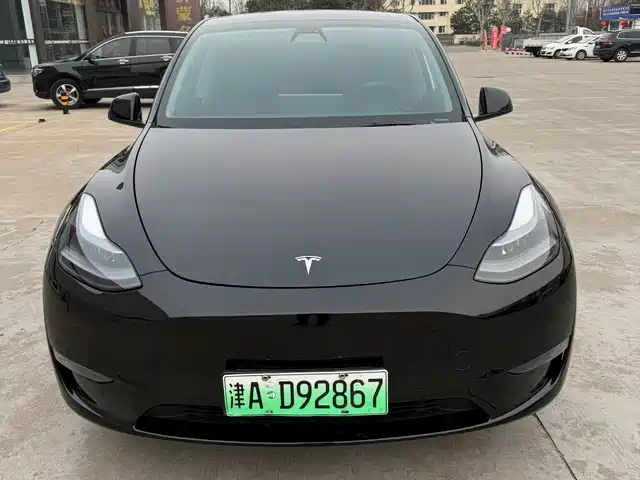 TESLA MODEL Y 2021