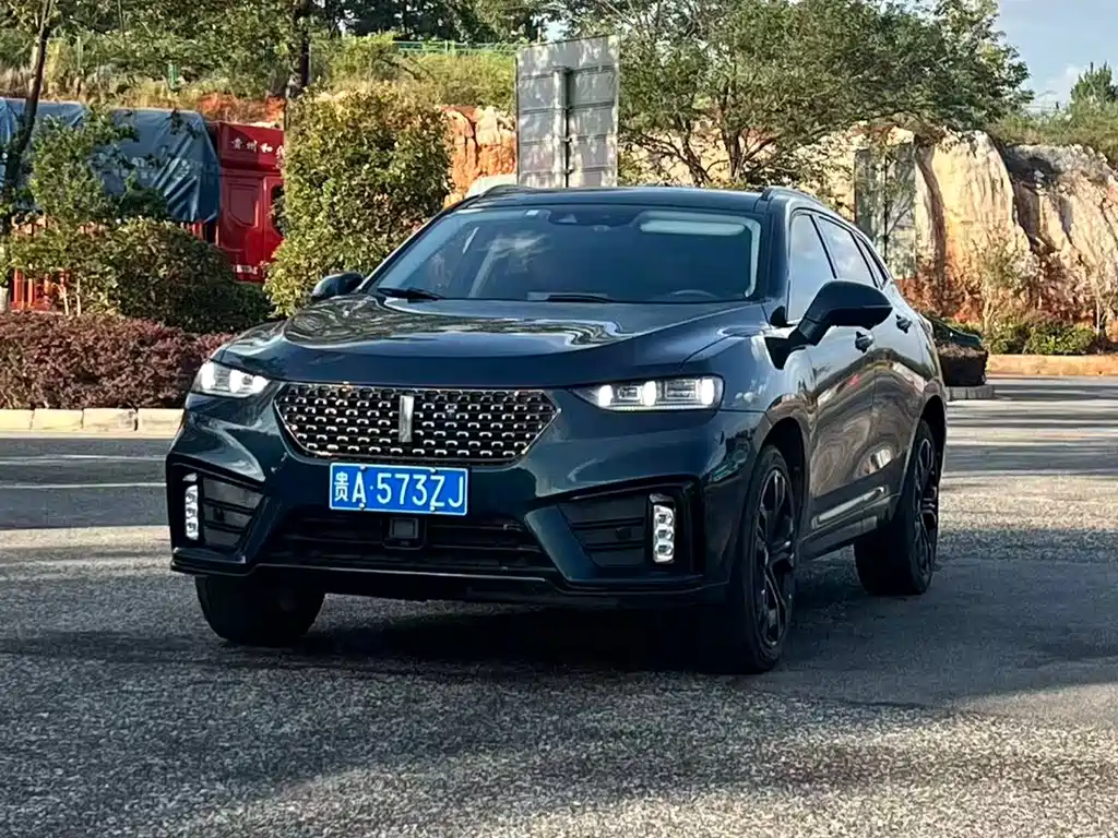 Купить Wey Wey VV7