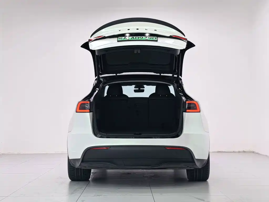 Tesla Model Y — миниатюра 22