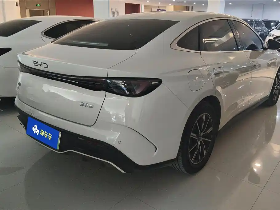 BYD Seal 06 06 2024 DM-i 120KM