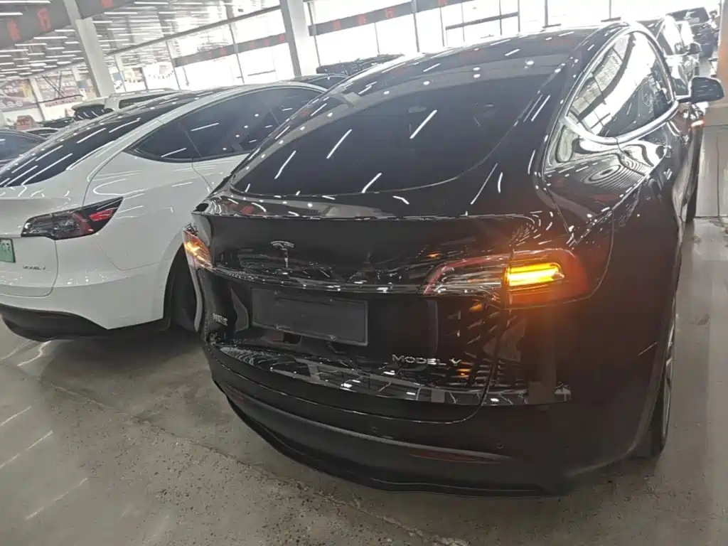 Tesla Model Y — миниатюра 4