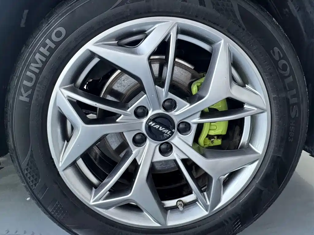 Haval Chitu — миниатюра 24