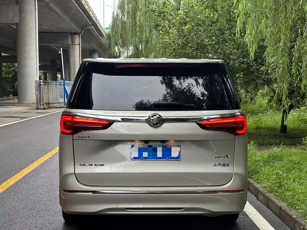 Buick GL8 — миниатюра 5