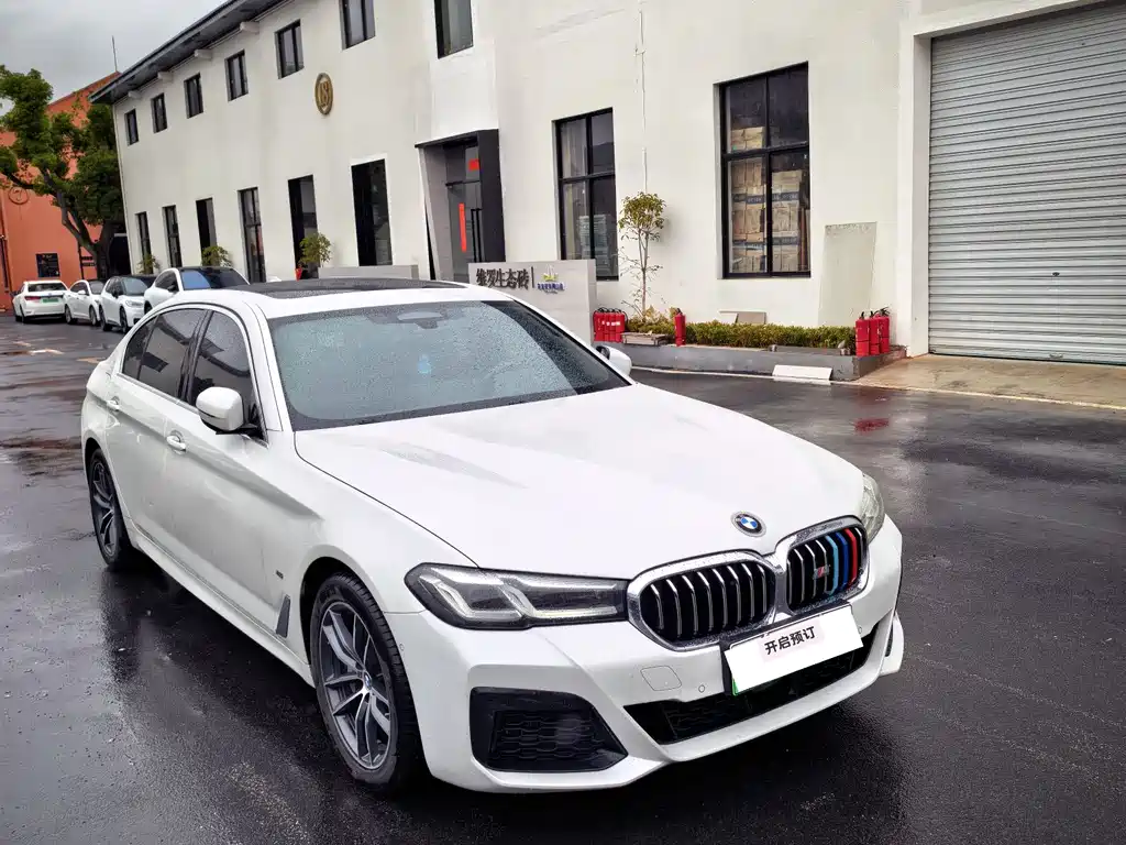 BMW 5 SERIES NEW ENERGY