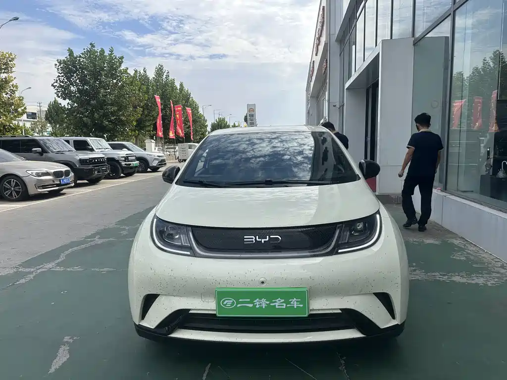 BYD Dolphin — миниатюра 2