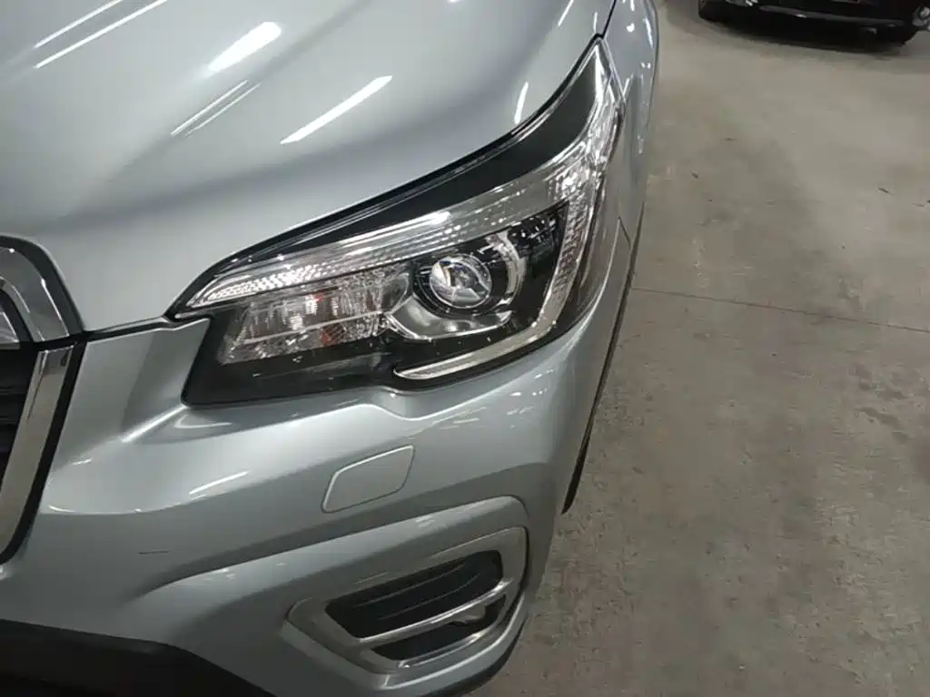 Subaru Forester — миниатюра 24