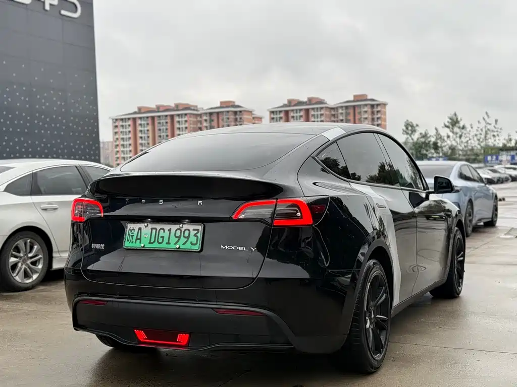 Tesla Model Y — миниатюра 11